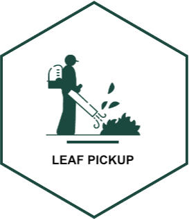 Leaf Pickup
